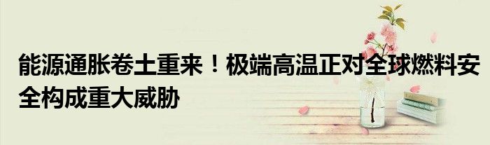 能源通胀卷土重来!极端高温正对全球燃料安全构成重大威胁