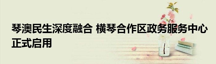 琴澳民生深度融合 横琴合作区政务服务中心正式启用