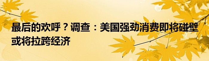 最后的欢呼?调查:美国强劲消费即将碰壁 或将拉跨经济
