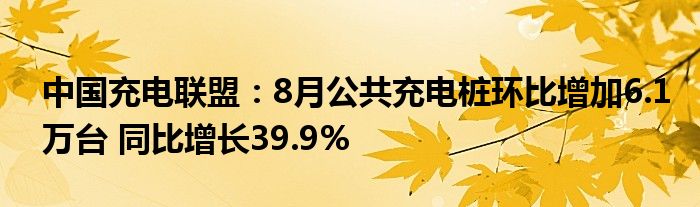 中国充电联盟:8月公共充电桩环比增加6.1万台 同比增长39.9%