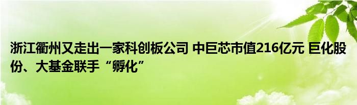 浙江衢州又走出一家科创板公司 中巨芯市值216亿元 巨化股份、大基金联手“孵化”