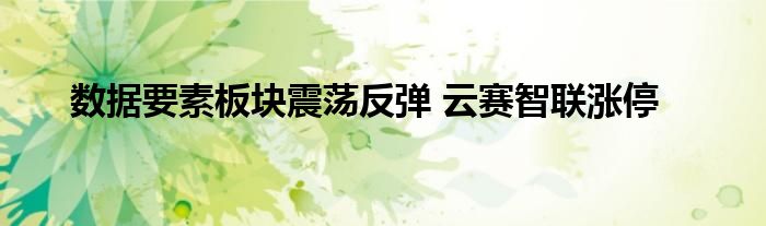 数据要素板块震荡反弹 云赛智联涨停