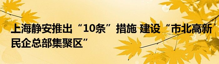 上海静安推出“10条”措施 建设“市北高新民企总部集聚区”