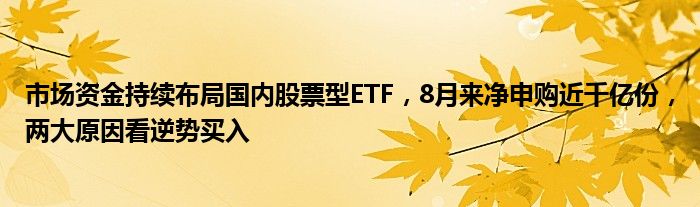 市场资金持续布局国内股票型ETF,8月来净申购近千亿份,两大原因看逆势买入