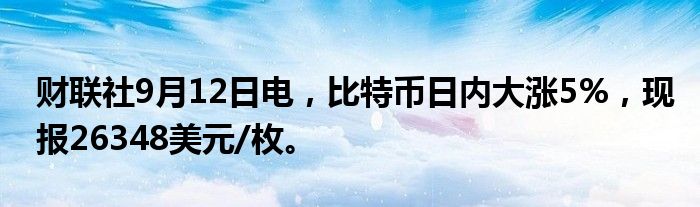财联社9月12日电,比特币日内大涨5%,现报26348美元/枚。