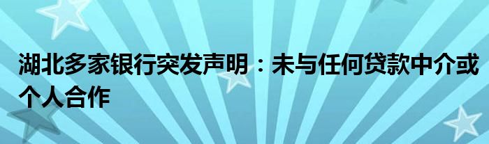湖北多家银行突发声明:未与任何贷款中介或个人合作