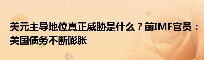 美元主导地位真正威胁是什么?前IMF官员:美国债务不断膨胀