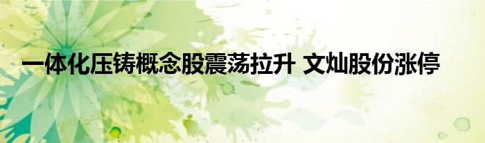 一体化压铸概念股震荡拉升 文灿股份涨停