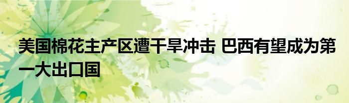 美国棉花主产区遭干旱冲击 巴西有望成为第一大出口国