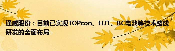 通威股份:目前已实现TOPcon、HJT、BC电池等技术路线研发的全面布局