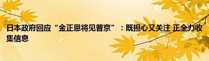 日本政府回应“金正恩将见普京”:既担心又关注 正全力收集信息