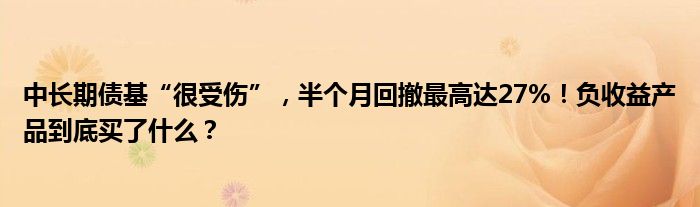 中长期债基“很受伤”,半个月回撤最高达27%!负收益产品到底买了什么?