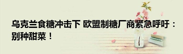 乌克兰食糖冲击下 欧盟制糖厂商紧急呼吁:别种甜菜!