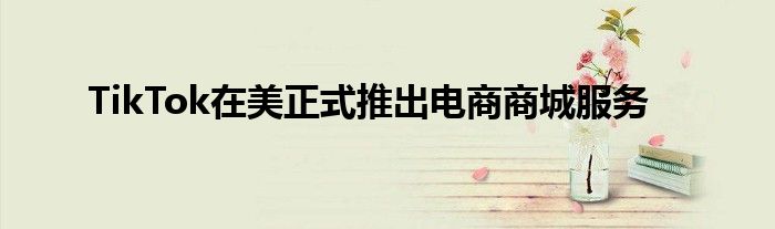 TikTok在美正式推出电商商城服务