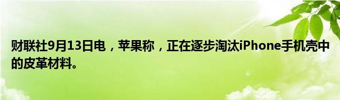 财联社9月13日电,苹果称,正在逐步淘汰iPhone手机壳中的皮革材料。