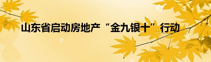 山东省启动房地产“金九银十”行动
