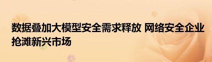 数据叠加大模型安全需求释放 网络安全企业抢滩新兴市场