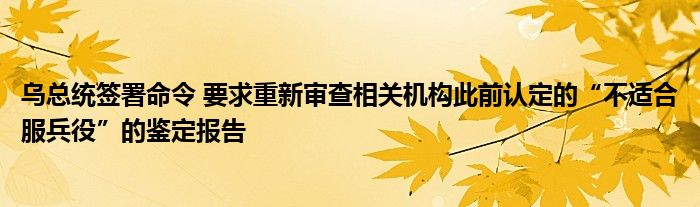 乌总统签署命令 要求重新审查相关机构此前认定的“不适合服兵役”的鉴定报告