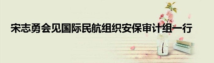 宋志勇会见国际民航组织安保审计组一行