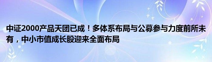 中证2000产品天团已成!多体系布局与公募参与力度前所未有,中小市值成长股迎来全面布局