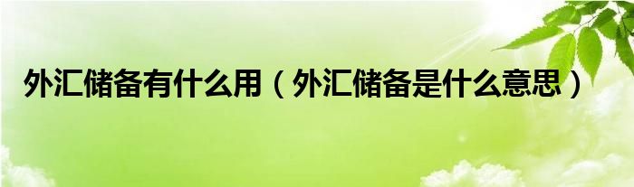 外汇储备有什么用（外汇储备是什么意思）