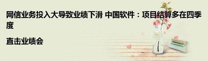 网信业务投入大导致业绩下滑 中国软件:项目结算多在四季度|直击业绩会