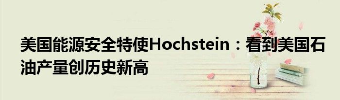 美国能源安全特使Hochstein:看到美国石油产量创历史新高