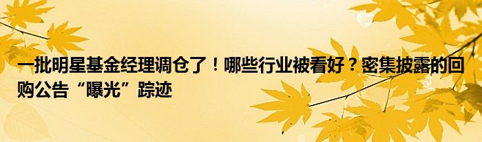 一批明星基金经理调仓了!哪些行业被看好?密集披露的回购公告“曝光”踪迹