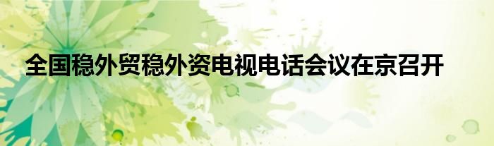全国稳外贸稳外资电视电话会议在京召开
