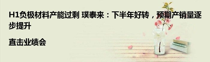 H1负极材料产能过剩 璞泰来:下半年好转,预期产销量逐步提升|直击业绩会