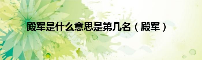 殿军是什么意思是第几名(殿军)