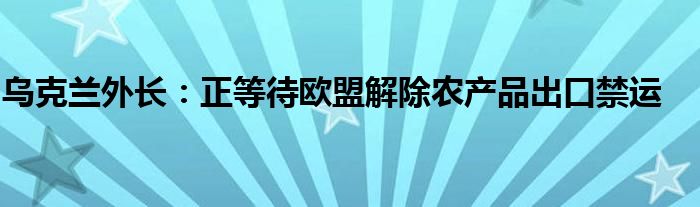 乌克兰外长:正等待欧盟解除农产品出口禁运
