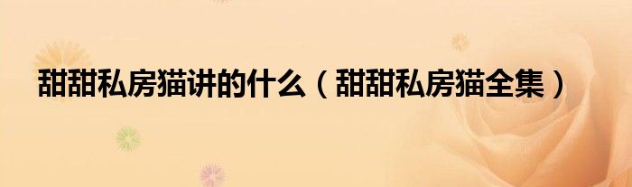 甜甜私房猫讲的什么(甜甜私房猫全集)