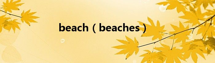 beach（beaches）