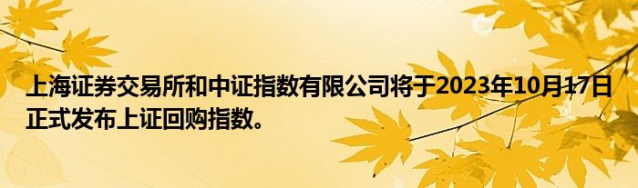 上海证券交易所和中证指数有限公司将于2023年10月17日正式发布上证回购指数。