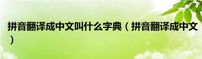 拼音翻译成中文叫什么字典（拼音翻译成中文）