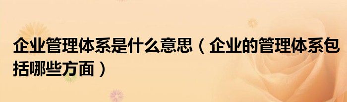 企业管理体系是什么意思(企业的管理体系包括哪些方面)