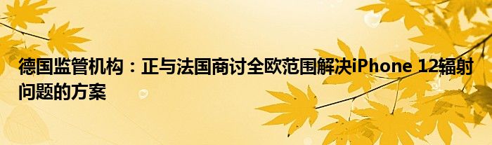 德国监管机构:正与法国商讨全欧范围解决iPhone 12辐射问题的方案