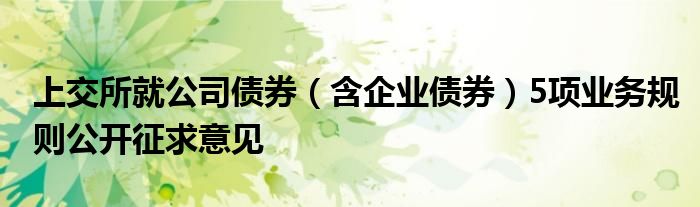 上交所就公司债券(含企业债券)5项业务规则公开征求意见