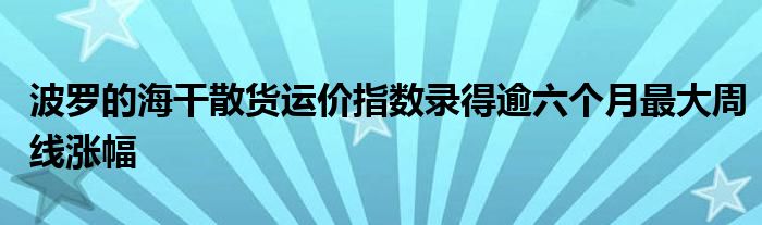 波罗的海干散货运价指数录得逾六个月最大周线涨幅