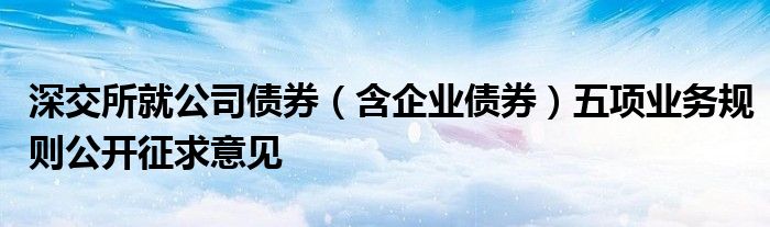 深交所就公司债券(含企业债券)五项业务规则公开征求意见