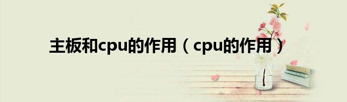 主板和cpu的作用（cpu的作用）