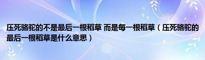 压死骆驼的不是最后一根稻草 而是每一根稻草(压死骆驼的最后一根稻草是什么意思)
