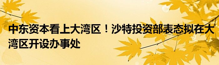 中东资本看上大湾区!沙特投资部表态拟在大湾区开设办事处