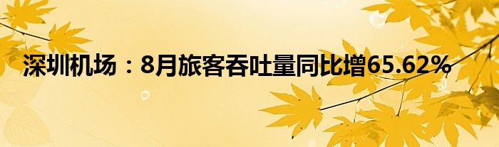 深圳机场:8月旅客吞吐量同比增65.62%