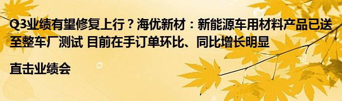 Q3业绩有望修复上行?海优新材:新能源车用材料产品已送至整车厂测试 目前在手订单环比、同比增长明显|直击业绩会