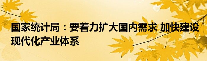 国家统计局:要着力扩大国内需求 加快建设现代化产业体系