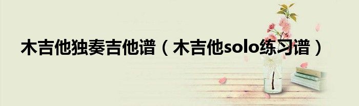 木吉他独奏吉他谱(木吉他solo练习谱)