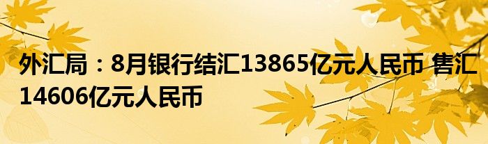 外汇局:8月银行结汇13865亿元人民币 售汇14606亿元人民币