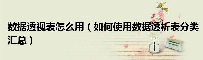 数据透视表怎么用(如何使用数据透析表分类汇总)